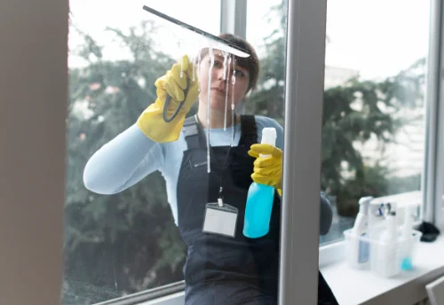 Nettoyage de vitres intérieures et extérieures à Saint-Lager-Bressac